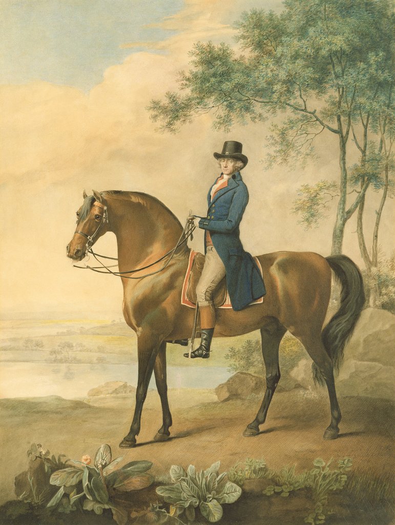 Detail of Warren Hastings on his Arabian Horse, 1796 by George Townley Stubbs