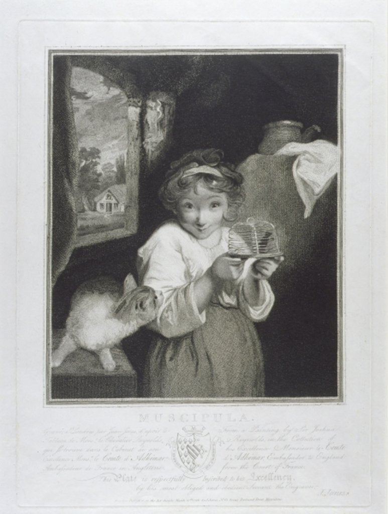 Detail of Muscipula, engraved by John Jones 1786 by Joshua (after) Reynolds