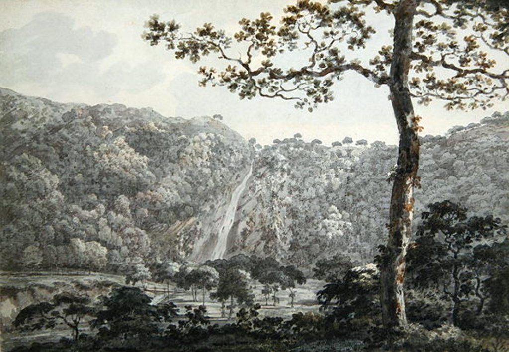 Detail of The Falls at Powerscourt, Co. Wicklow, Ireland by William Pars