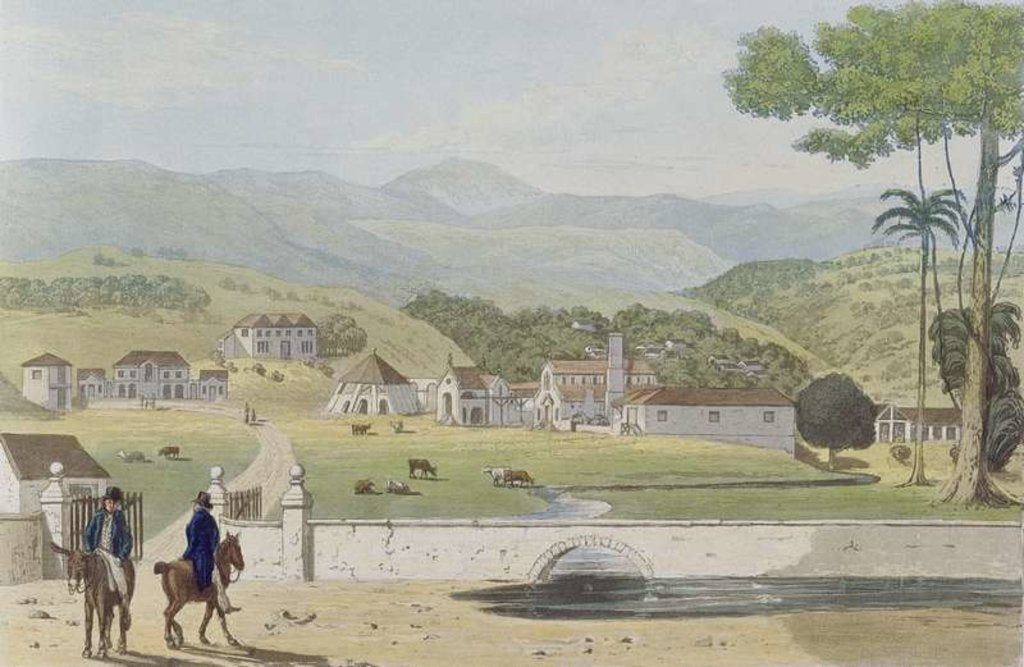 Detail of Montpelier Estates, St James by James (after) Hakewill