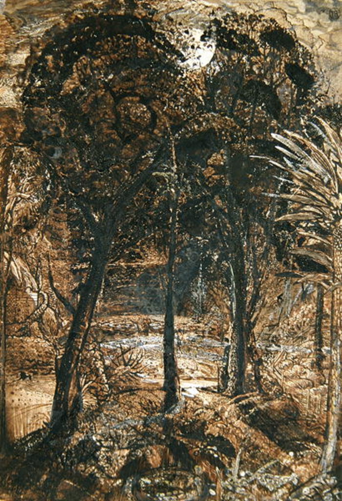 Detail of A moonlit scene with a winding river, 1827 by Samuel Palmer