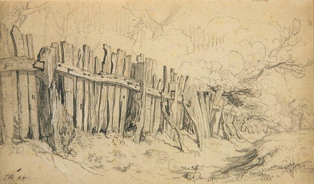 Detail of Windsor Park Paling by James Ward