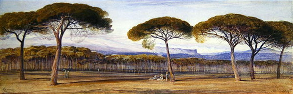 Detail of A View of the Pine Woods Above Cannes, 1869 by Edward Lear