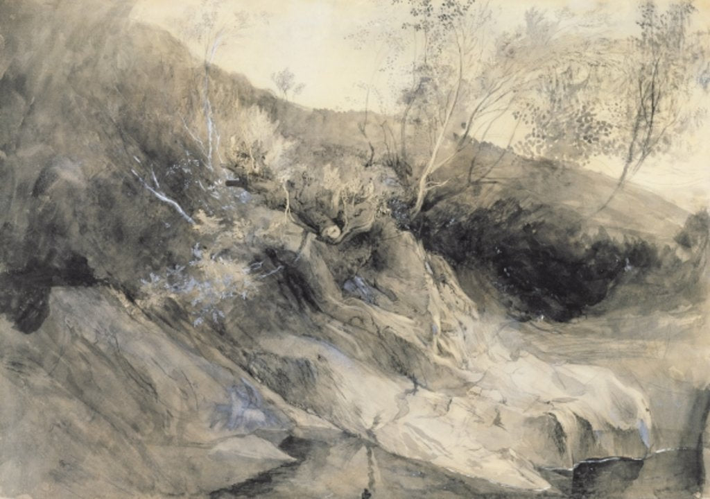 Detail of The Rocky Bank of a River - Verso: sketch of foliage, c.1853 by John Ruskin
