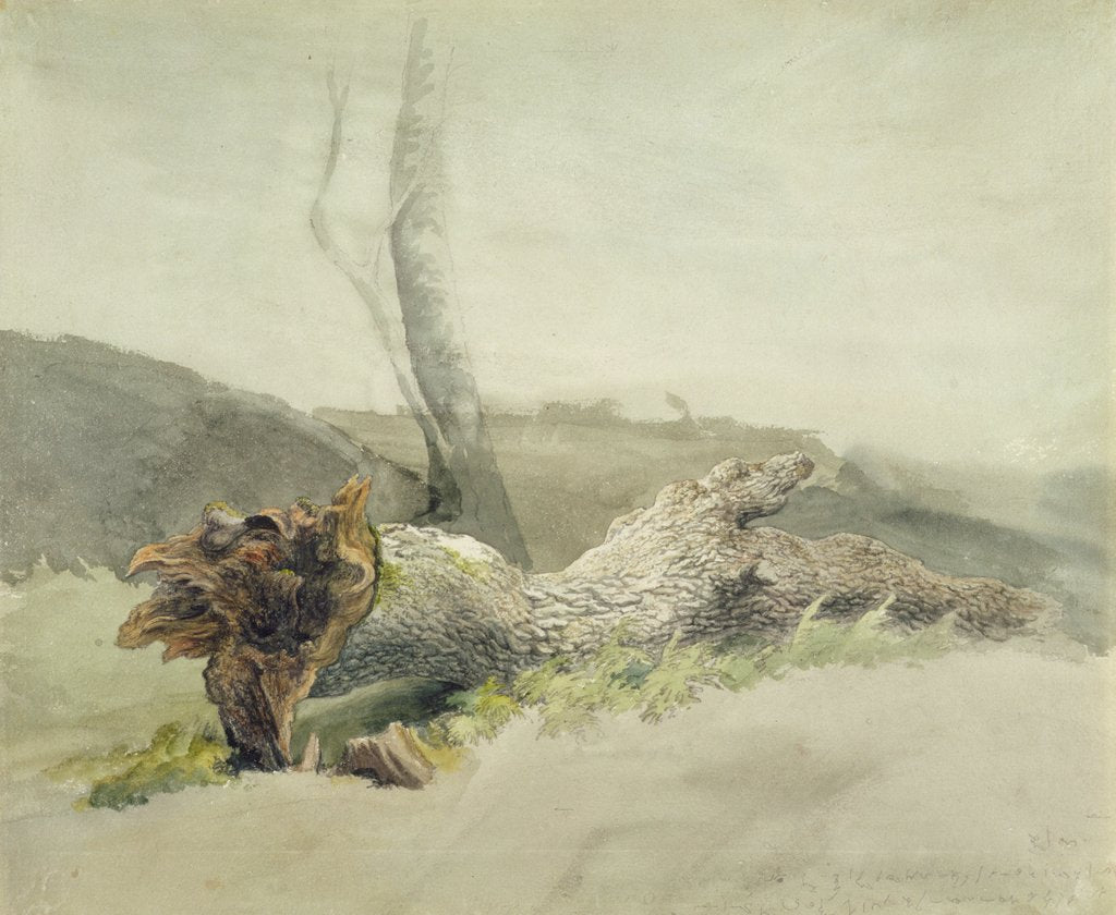 Detail of The Fallen Tree, c.1804 by Robert Hills