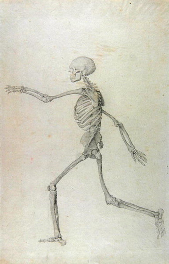 Detail of Human Skeleton, Lateral View seen from the Left, Running, 1795-1806 by George Stubbs