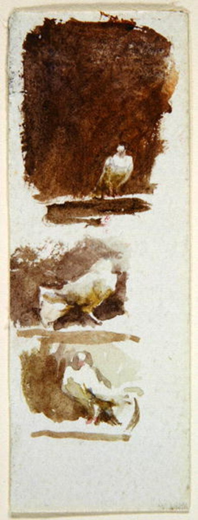 Detail of Doves by Helen Allingham