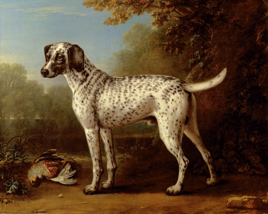 Detail of Grey spotted hound, 1738 by John Wootton