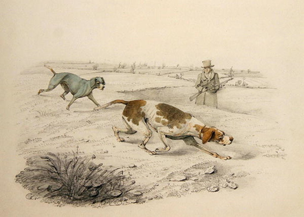 Detail of Two Pointers, facing right with a Sportsman by Henry Thomas Alken