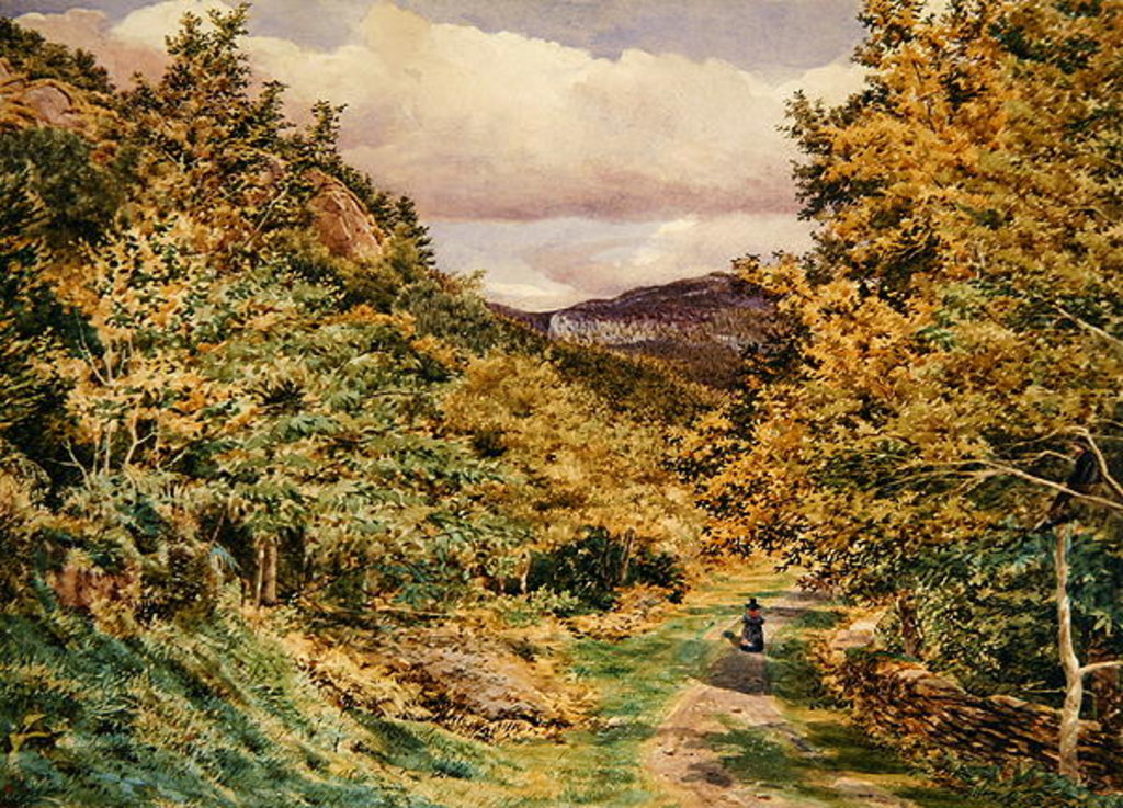 Detail of A Road near Bettws-y-Coed, 1851 by George Price Boyce