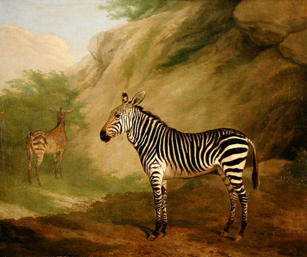 Detail of Zebra, 1803 by Jacques-Laurent Agasse