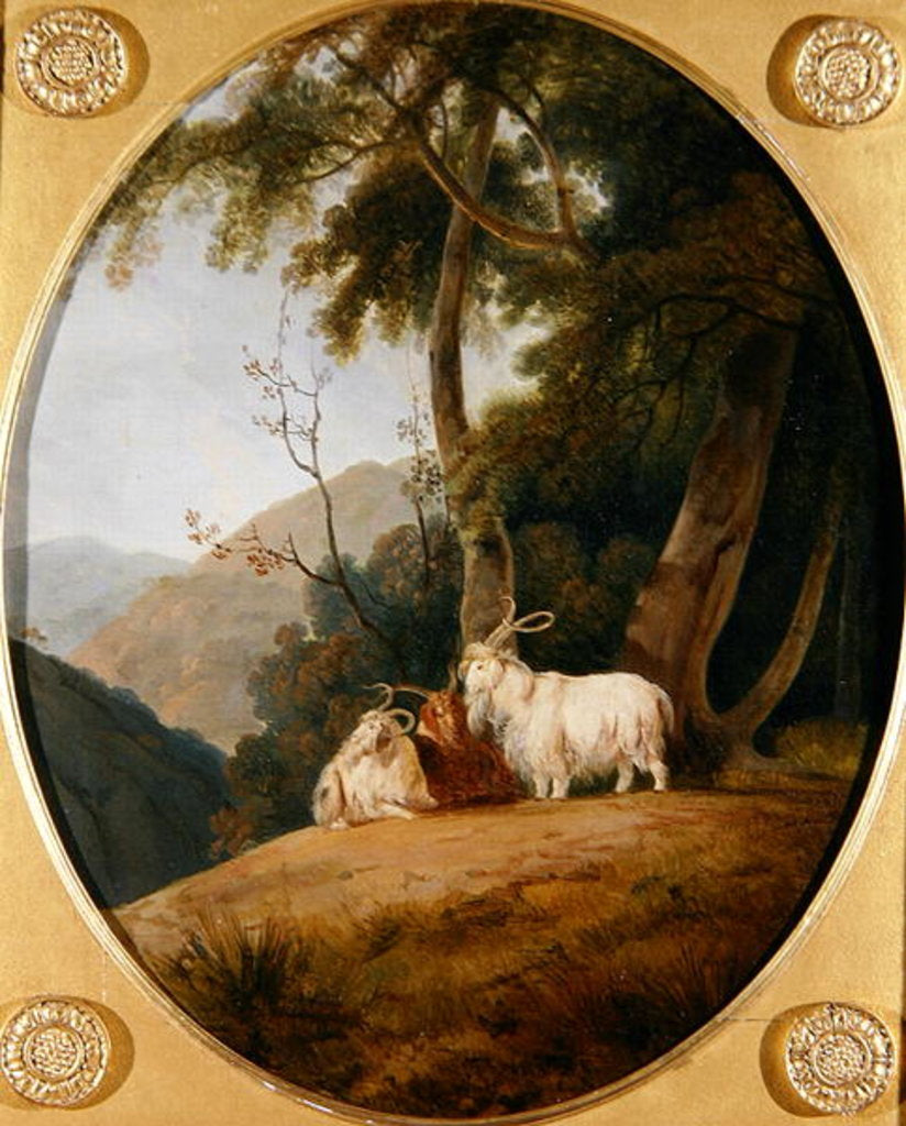 Detail of Kashmir Goats, c.1780-1820 by William Daniell