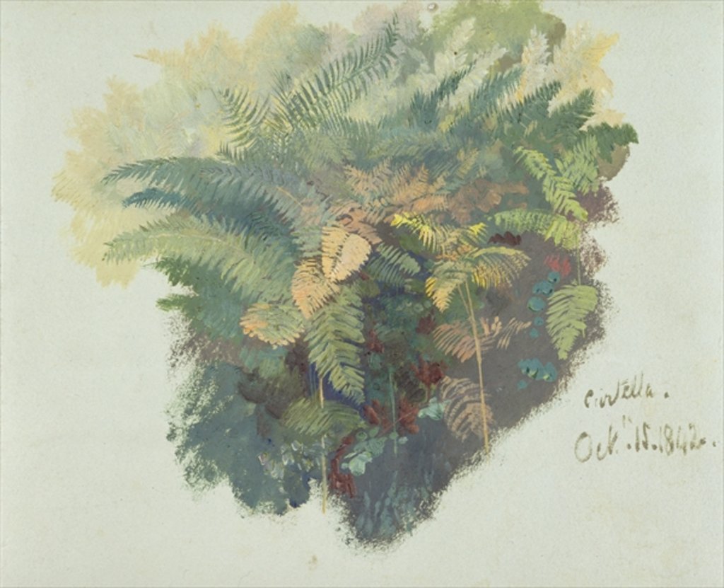 Detail of A Study of Ferns, Citivella, 1842 by Edward Lear