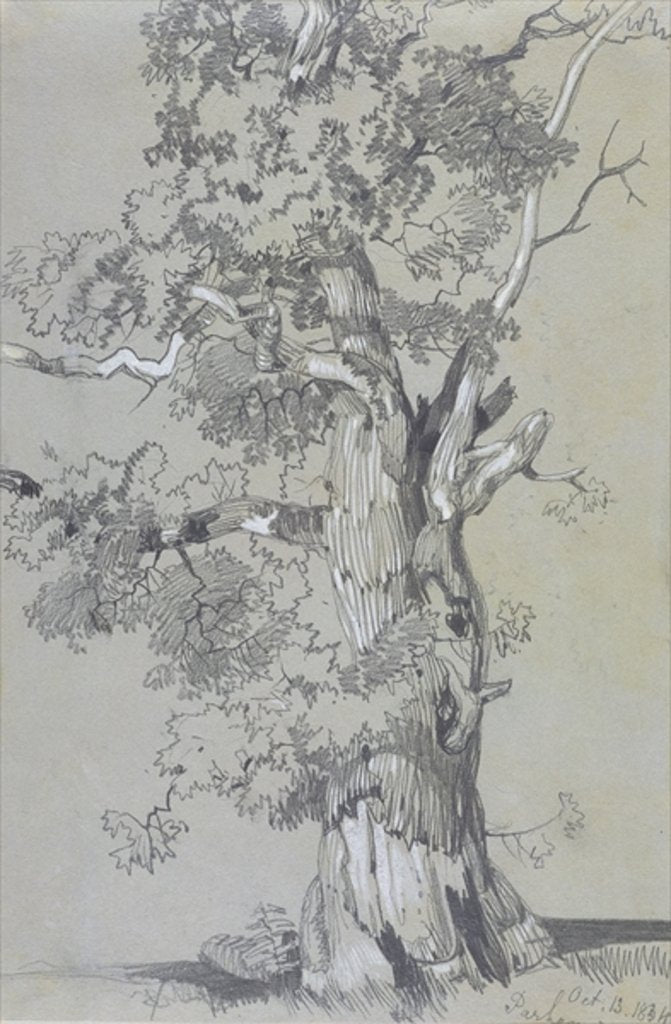 Detail of Parham, 13 October 1834 by Edward Lear