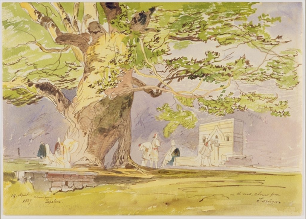 Detail of On the Road, Two Hours from Tepelene, 19 April 1857 by Edward Lear