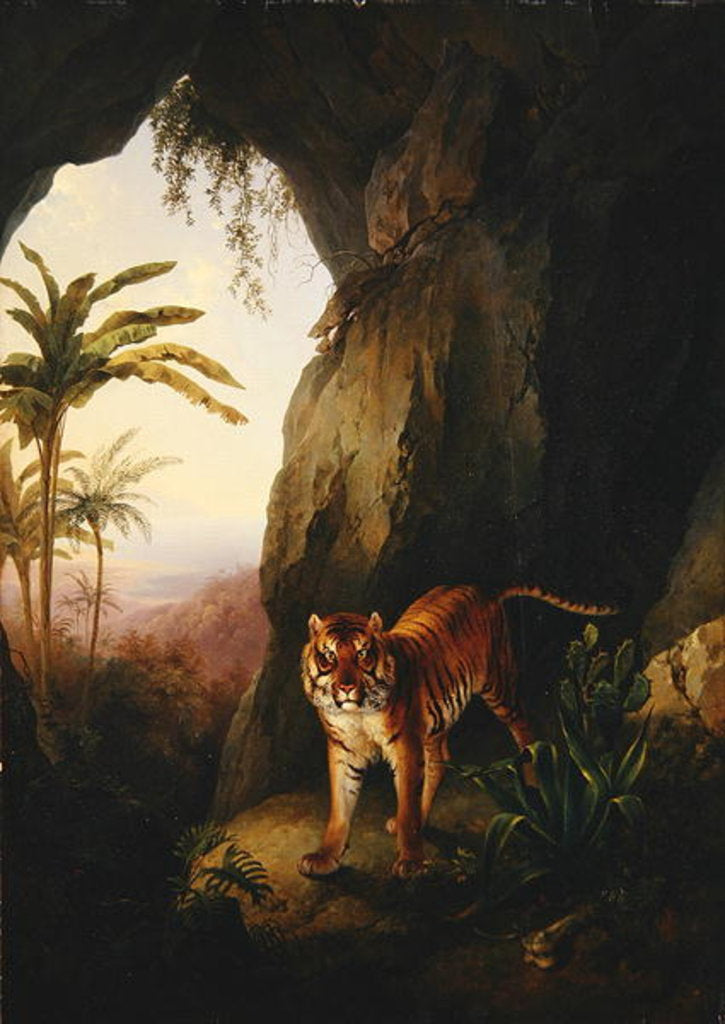 Detail of Tiger in a cave, c.1814 by Jacques-Laurent Agasse
