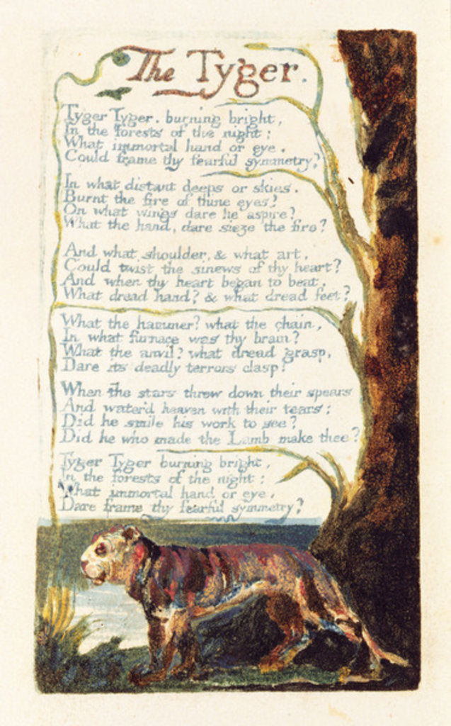 Detail of The Tyger by William Blake