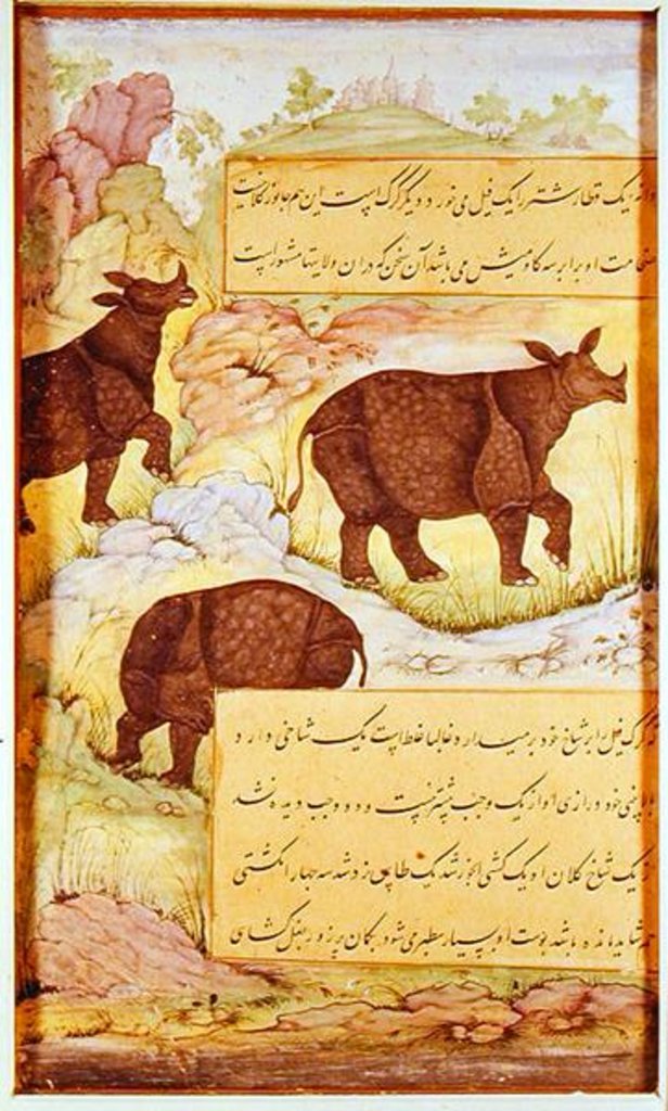 Detail of Rhinoceros by Mughal School