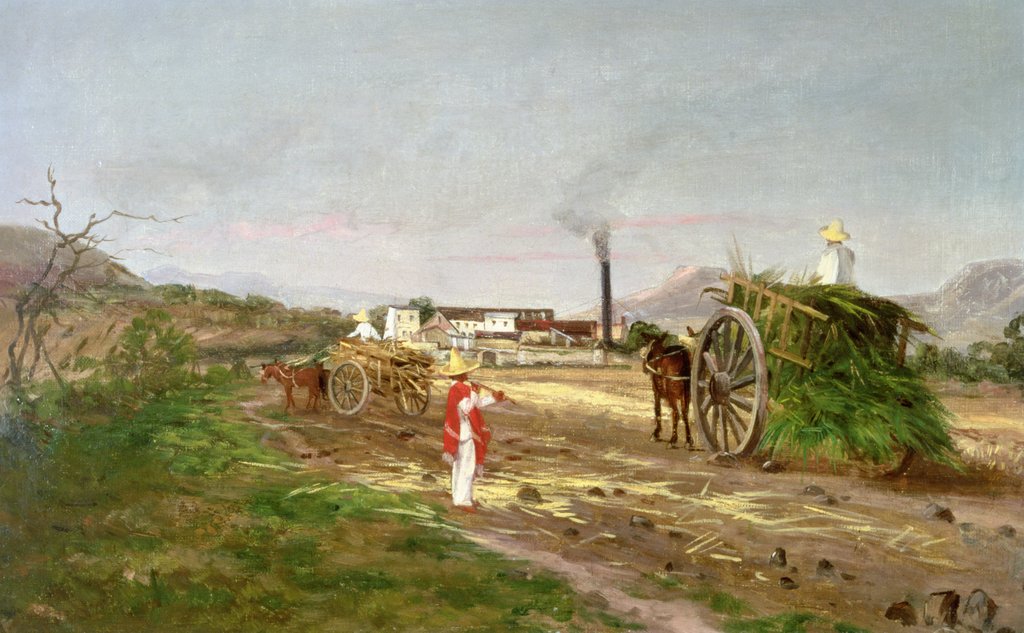 Detail of Peasants Collecting Sugar Cane, Central America, c.1840 by American School