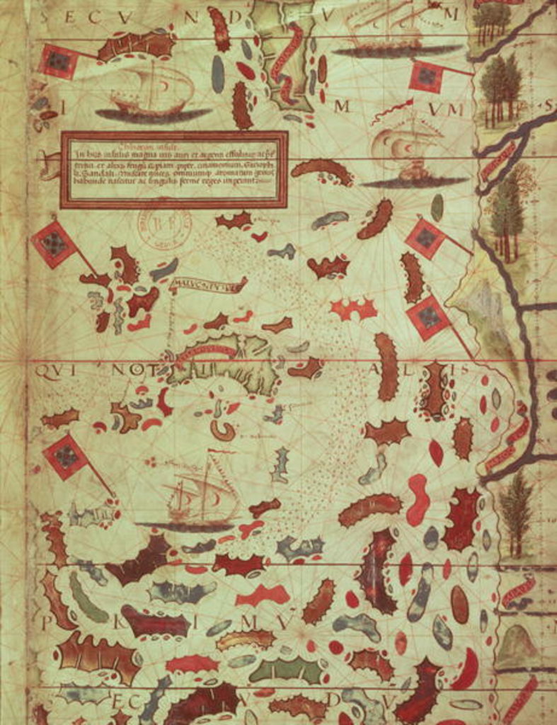 Detail of The Moluccas, page from a portolan atlas by Lopo Homem and Pedro Reinel, c.1519 by Anonymous