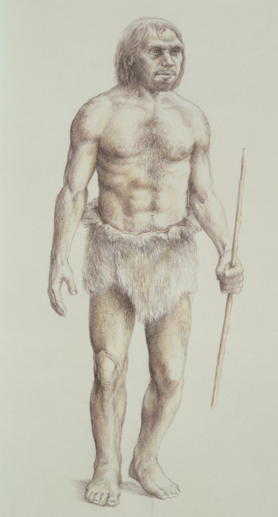 Detail of Neanderthal Man by English School