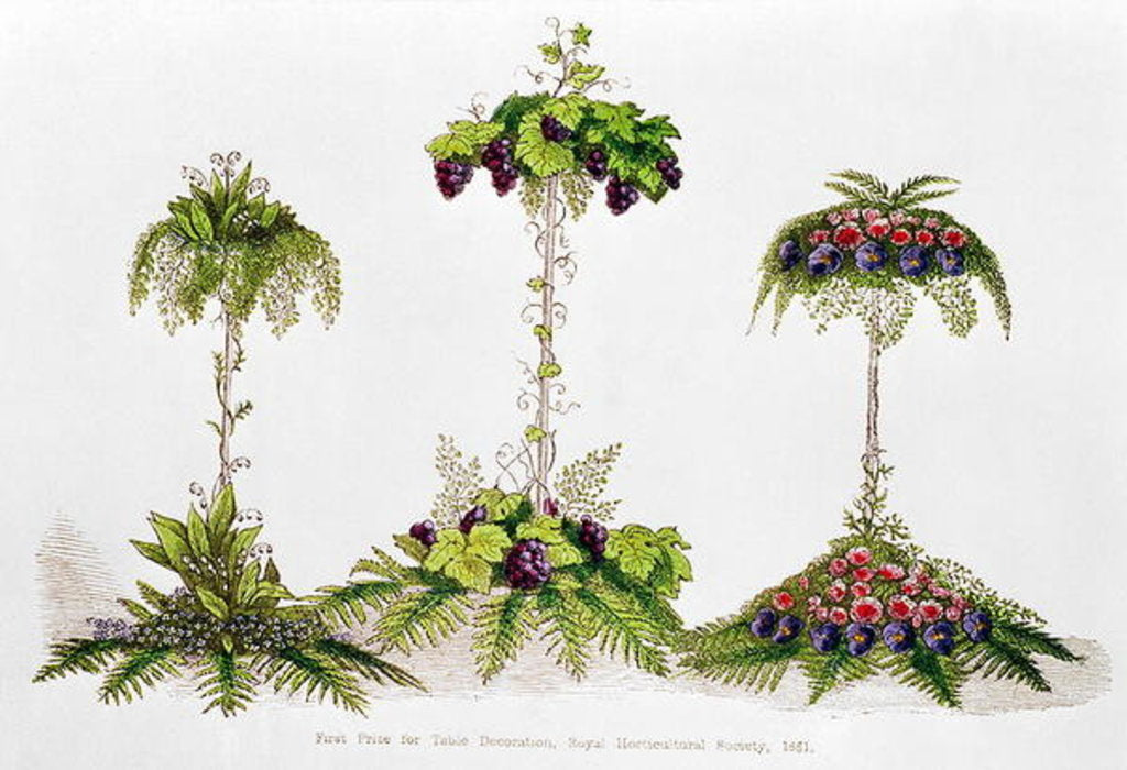 Detail of First Prize for Table Decoration, Royal Horticultural Society, 1851 by English School