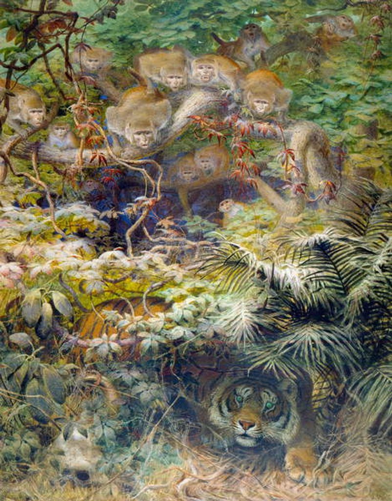 Detail of Row in the Jungle, 1863 by Joseph Wolf