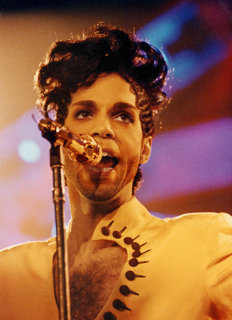 Detail of Prince in concert by James