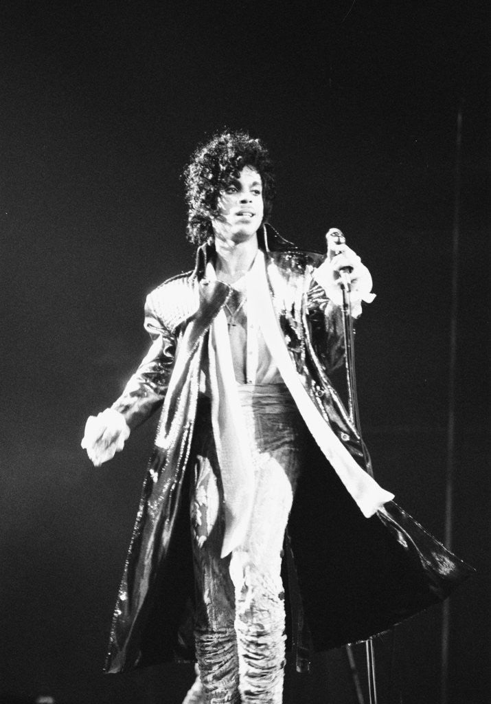 Detail of Prince Pop Star by Mike Maloney