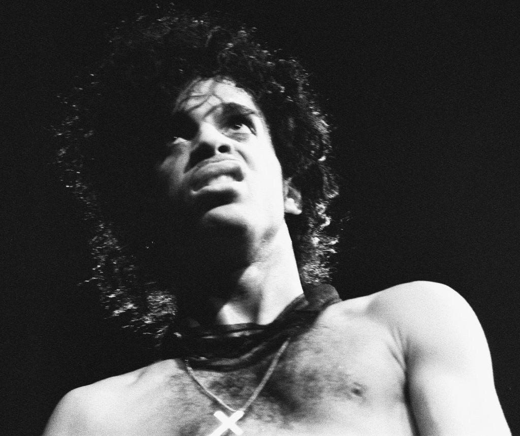 Detail of Prince Pop Star by Mike Maloney