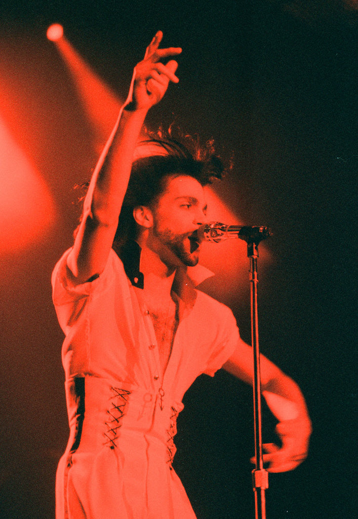 Detail of Prince Pop Star by Reid