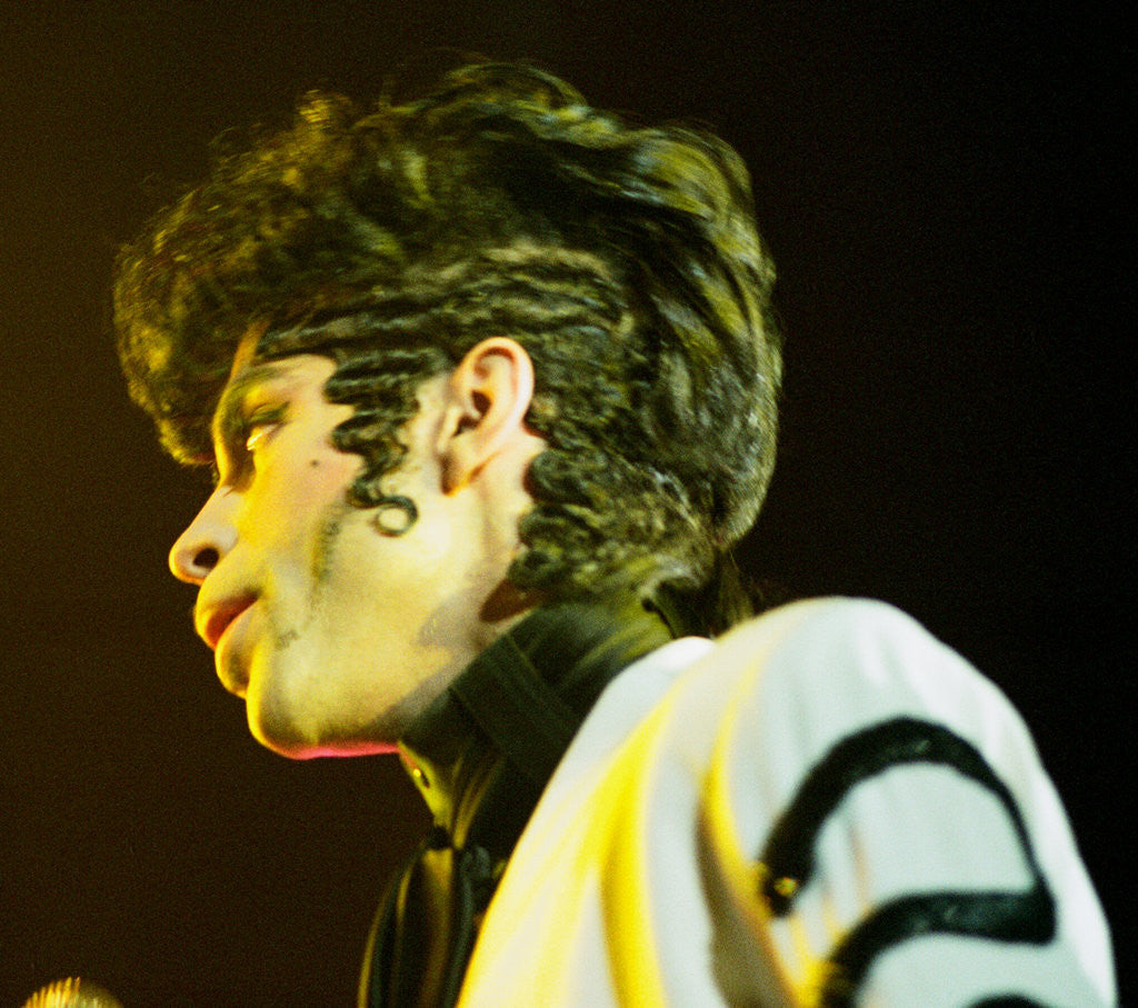 Detail of Prince Pop Star by Chris Grieve