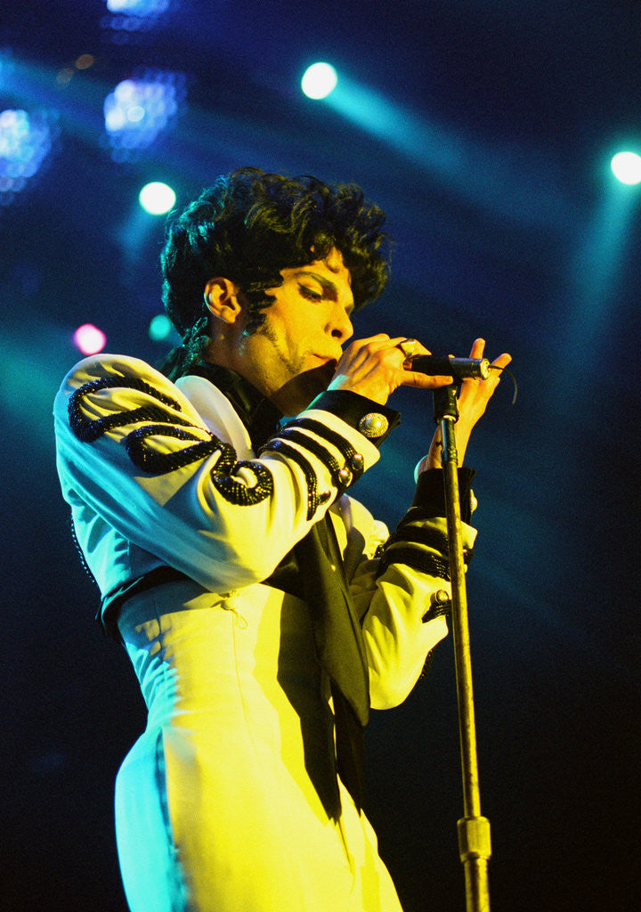 Detail of Prince Pop Star by Chris Grieve