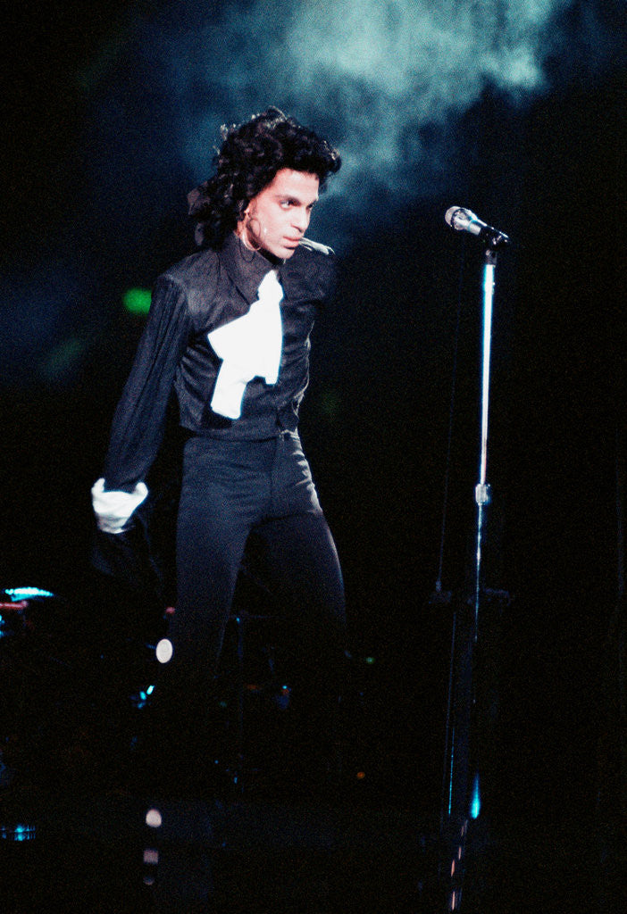 Detail of Prince Pop Star by Russell Bass