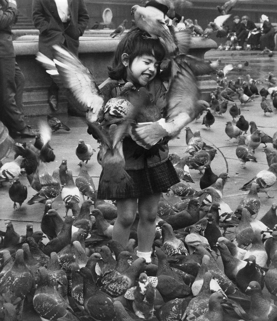 Detail of Young girl surrounded by hungry pigeons by Anonymous