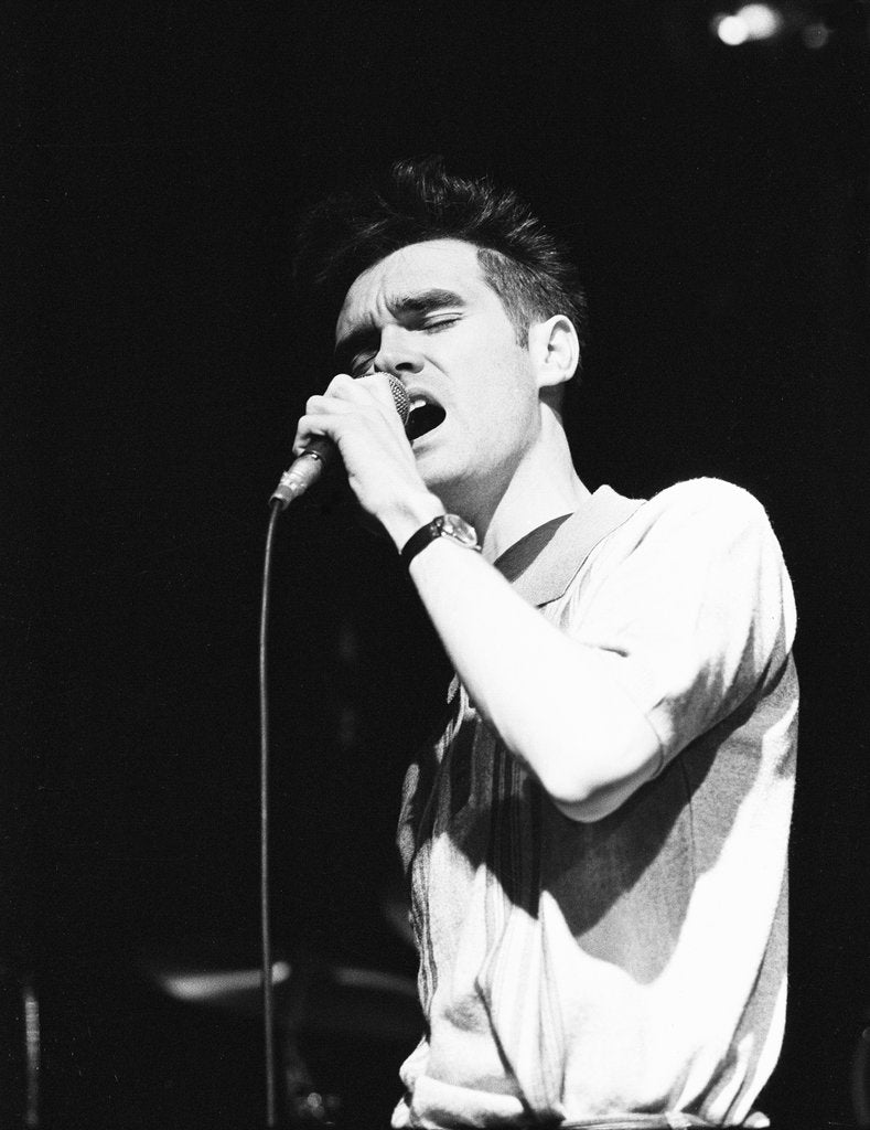 Detail of Morrissey by Harry Prosser