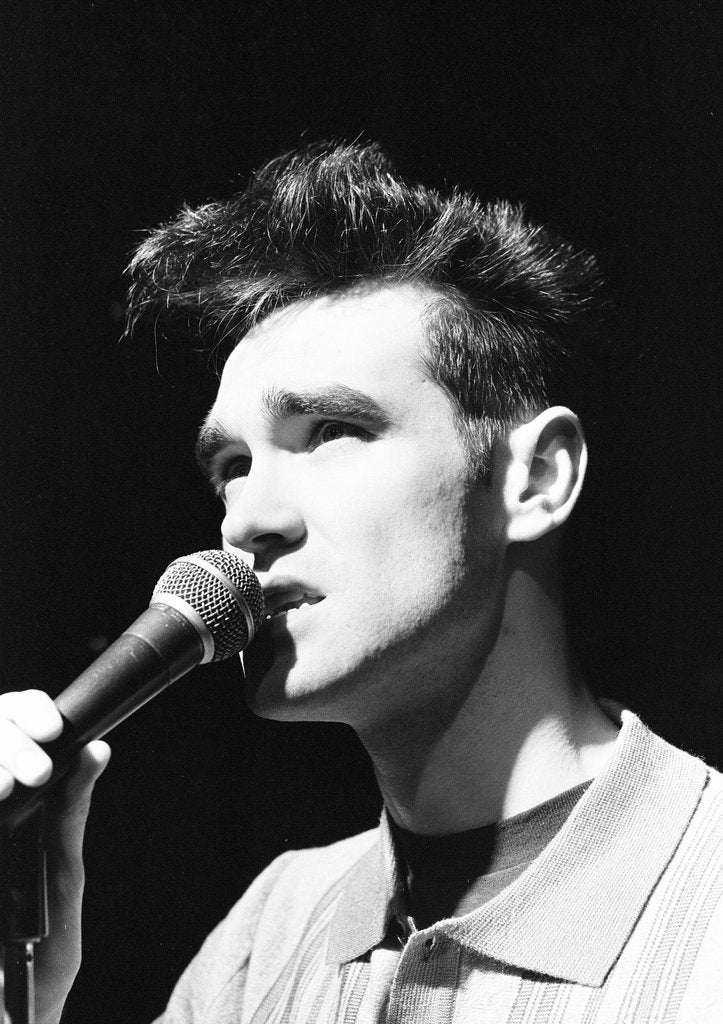 Detail of Morrissey by Harry Prosser