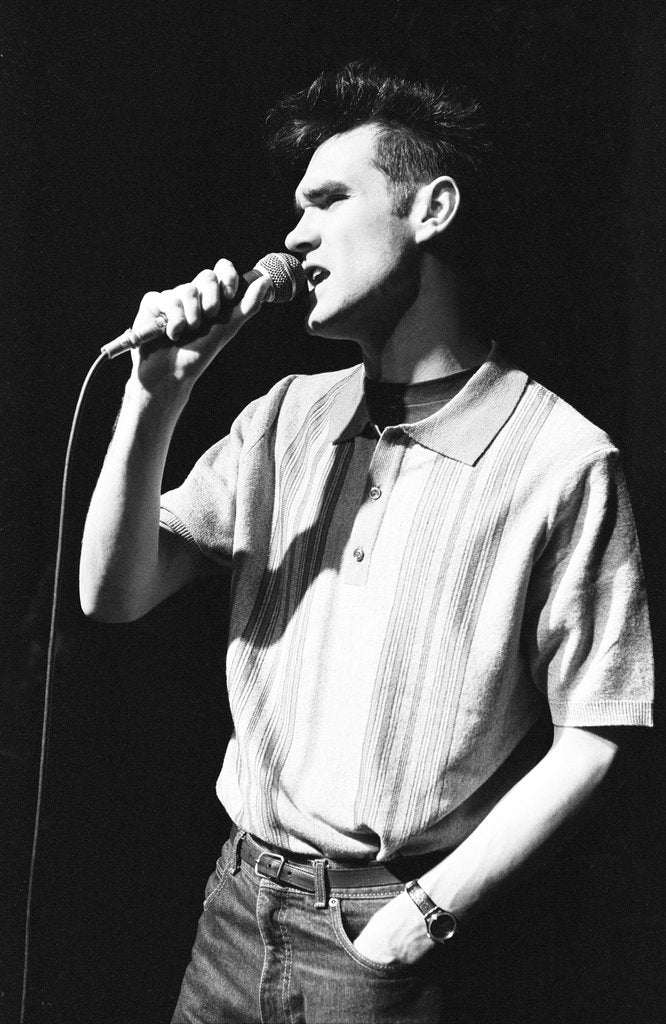 Detail of Morrissey by Harry Prosser