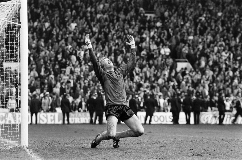 Detail of FA Cup Semi Final, Wolverhampton Wanderers v Tottenham Hotspur by Monte Fresco