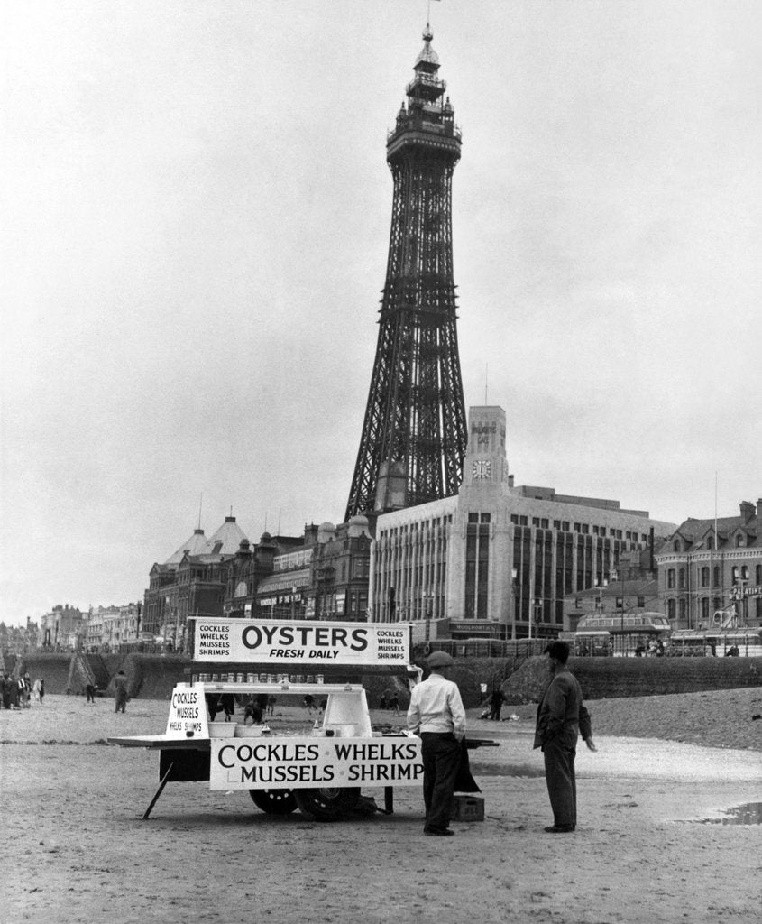 Detail of Oyster Stall in Blackpool 1960 by Staff