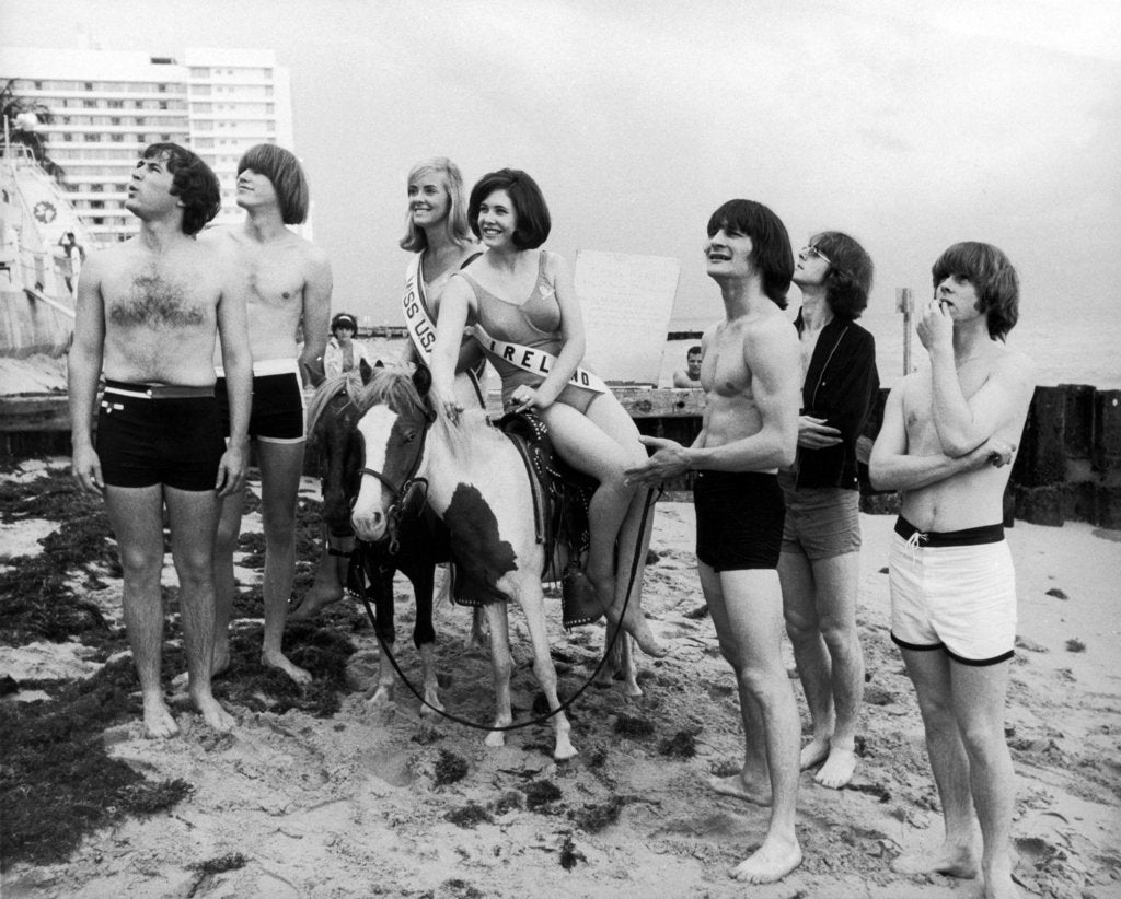 Detail of The Byrds in Miami 1965 by Curt Gunther
