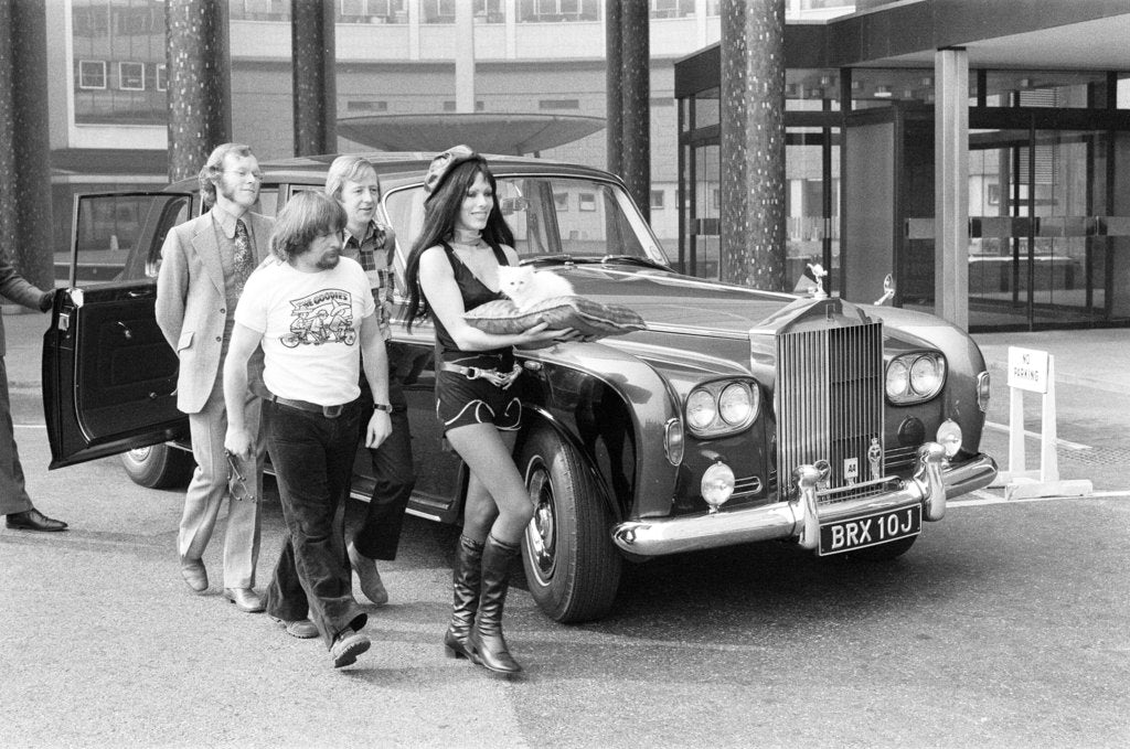 Detail of The Goodies by David Johnson