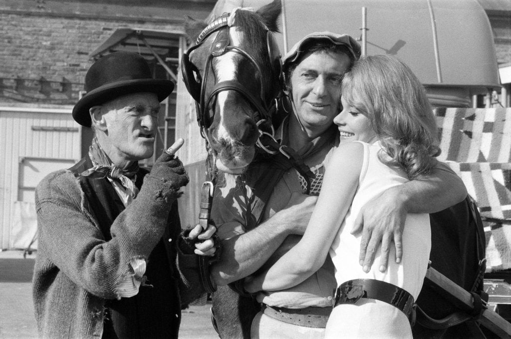 Detail of Steptoe and Son by Doreen Spooner