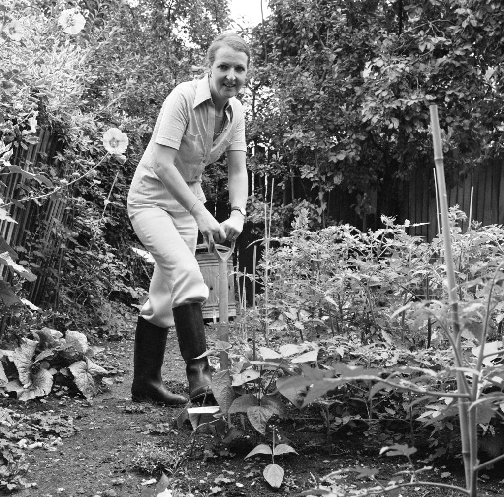 Detail of BBC Series ' The Good Life' by Carl Bruin