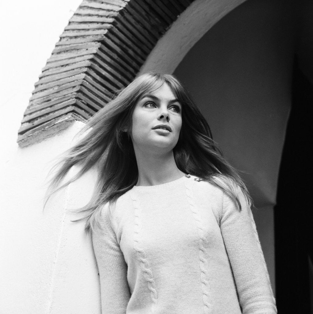 Detail of Jean Shrimpton 1967 by Bela Zola