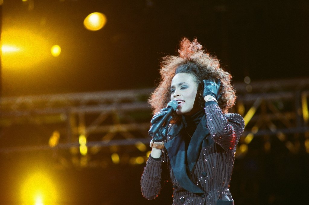 Detail of Whitney Houston by Brendon Monks