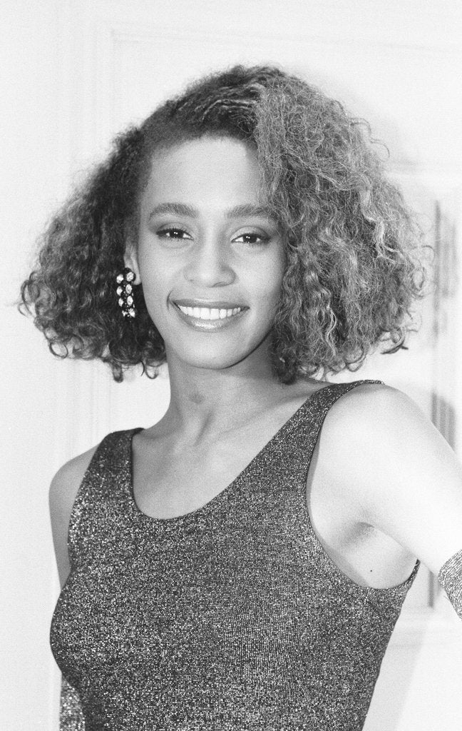 Detail of Whitney Houston 1985 by Gavin Kent