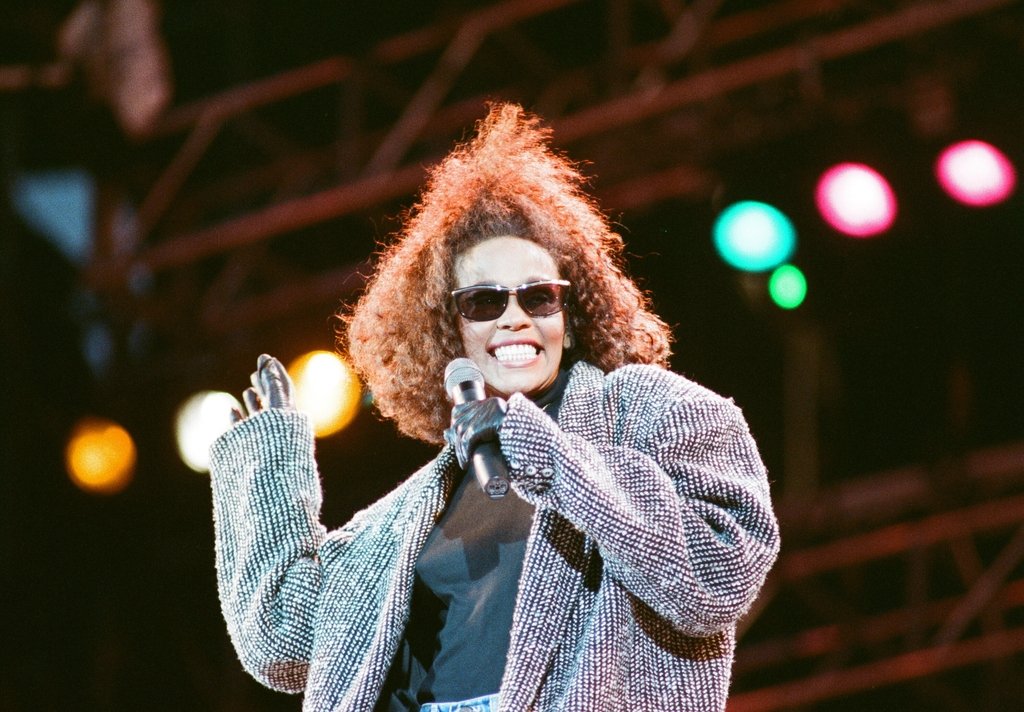 Detail of Whitney Houston by Brendan Monks