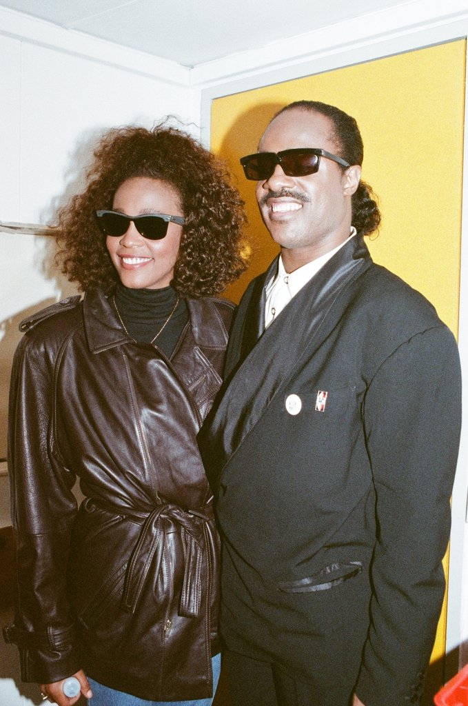Detail of Whitney Houston and Stevie Wonder by Brendon Monks