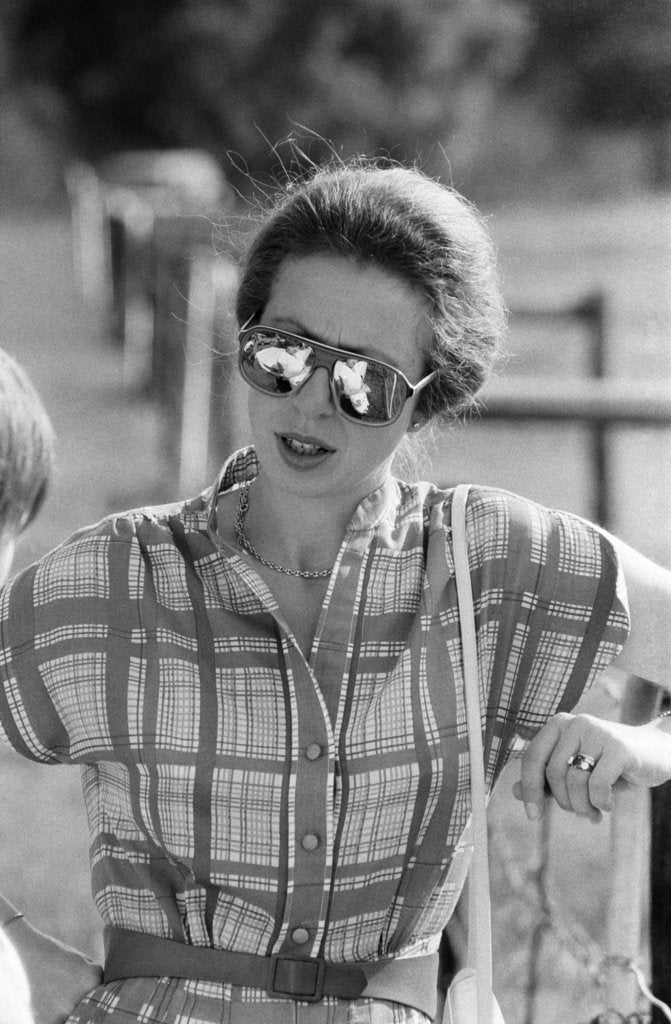 Detail of Princess Anne by Kent Gavin